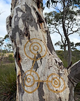 Connect to Protect Bulgamatta: Songwriting as Caring for Country